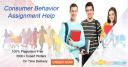 Consumer Behavior Assignment Help by Experts logo